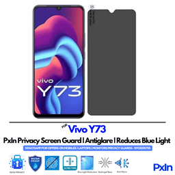 Vivo Y73 Privacy Screen Guard