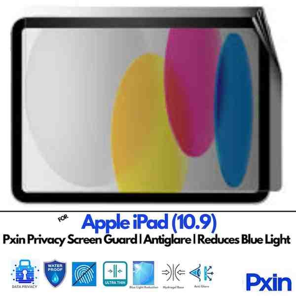 AppleiPad10.9 Privacy screen guard