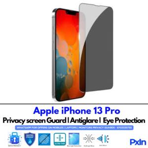 iPhone 13 Pro Privacy Screen Guard