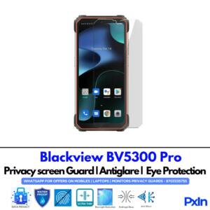 Blackview BV5300 Pro Privacy Screen Guard